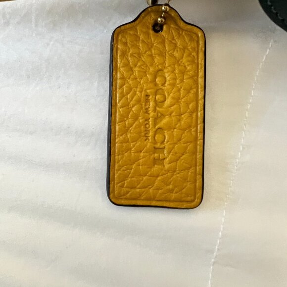 EUC Coach Luna Shoulder Bag with Dust Bag - Flax - Picture 4 of 5